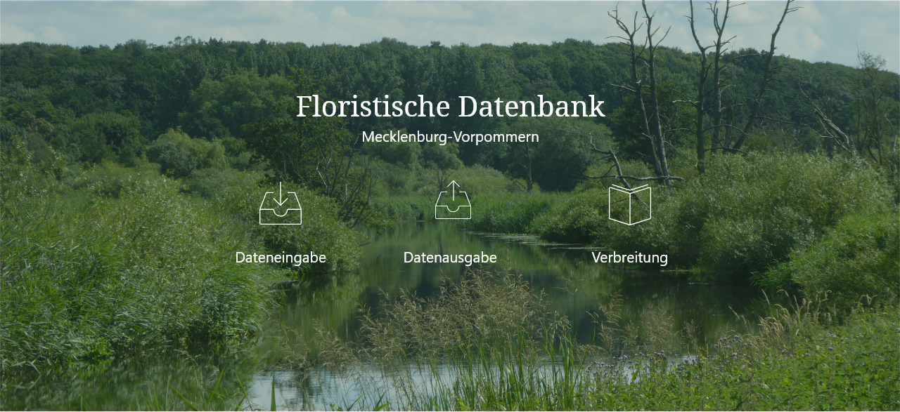 Bild mit drei Links